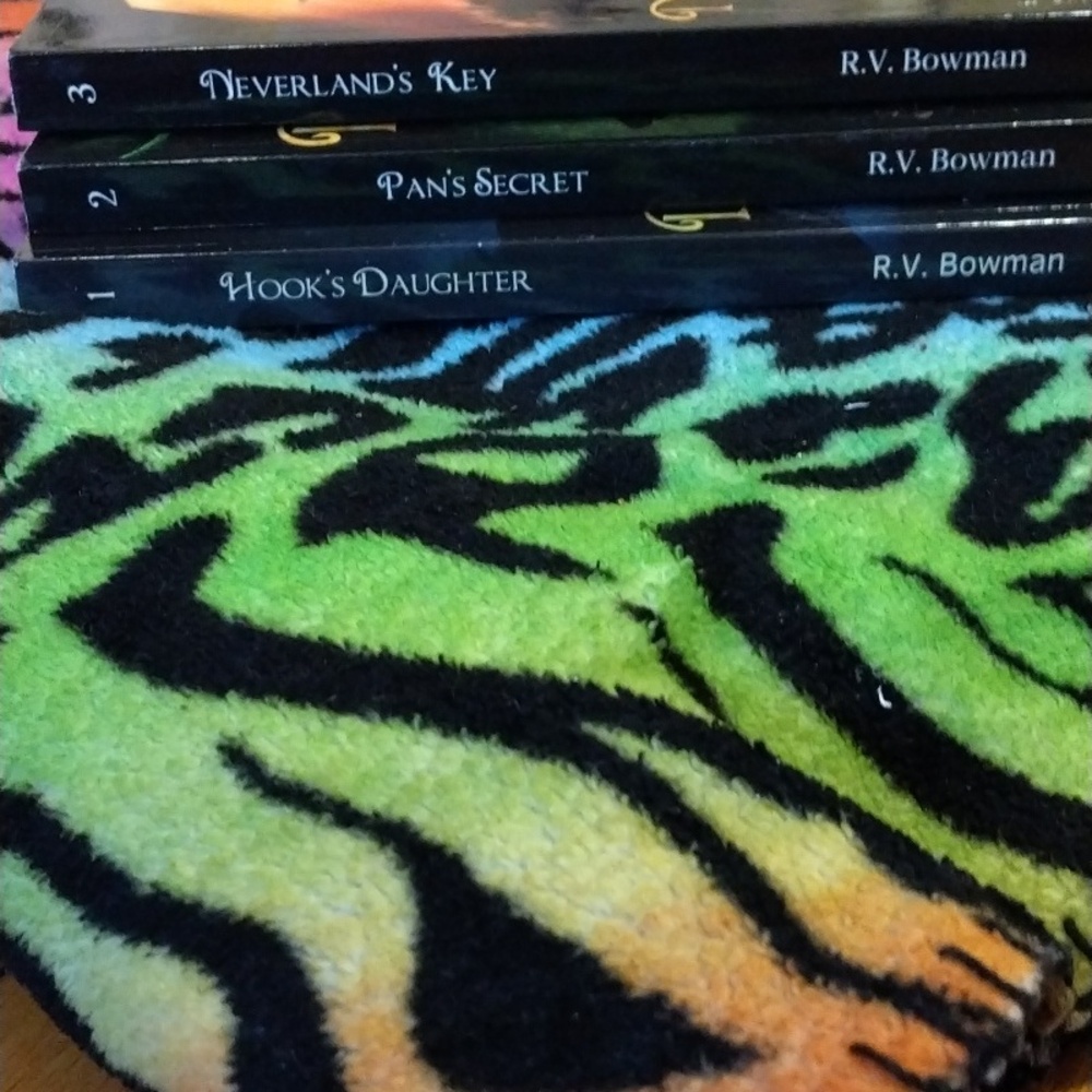 A Pirate Princess Chronicles by R. V. Bowman